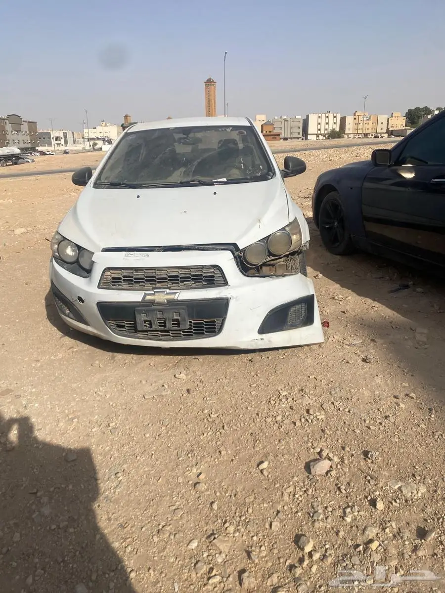 شفرليه 2012 3