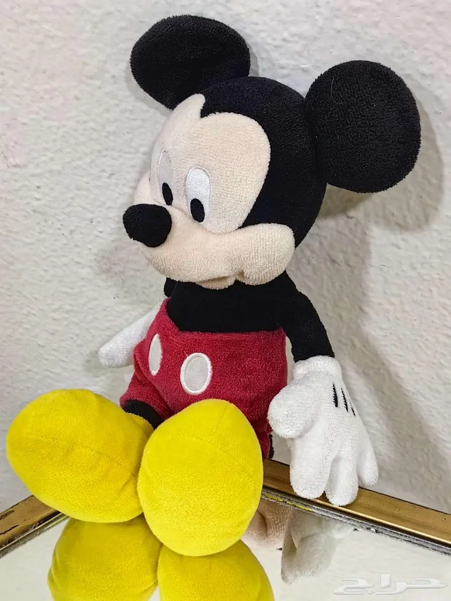 للبيع مجموعه من الدومى 19