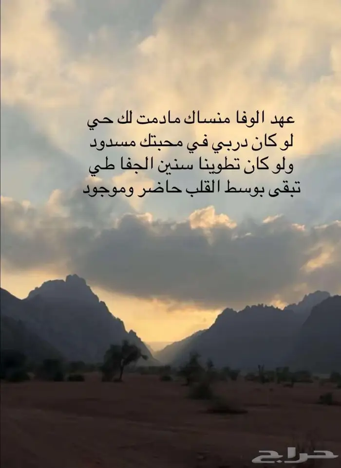 مطلوب جيب شاص قديم معه اوراق 0