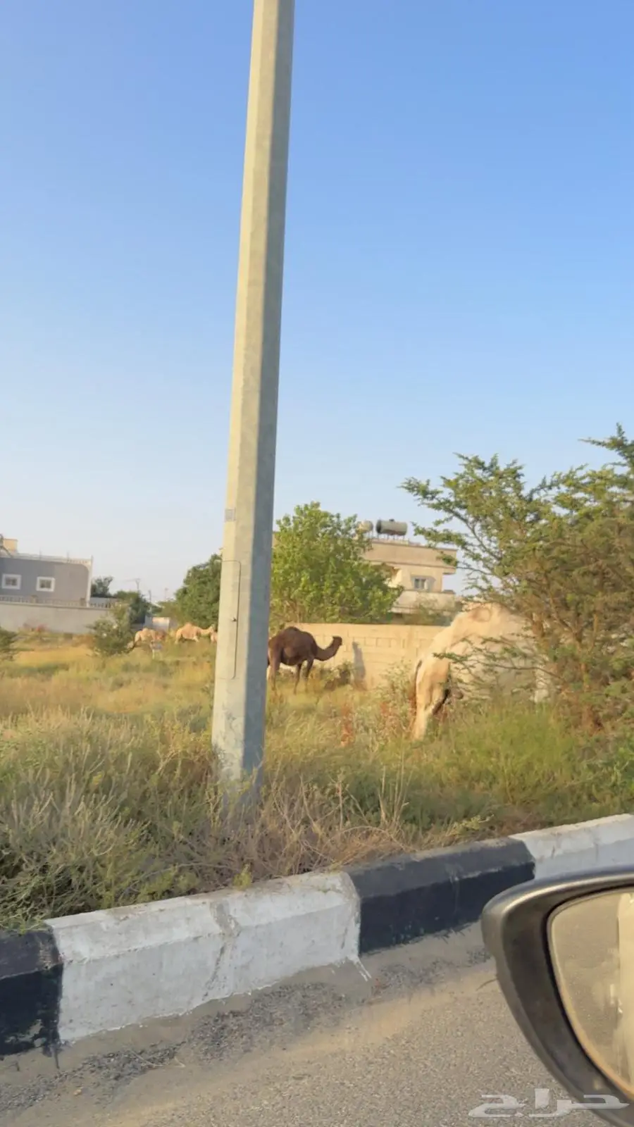 مطلوب غرفه وصاله 0