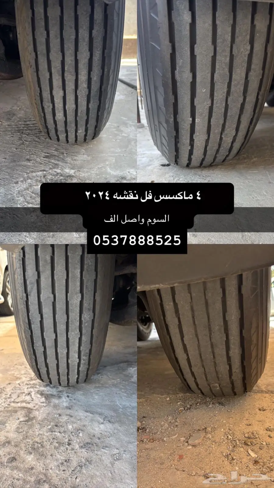 بوالين ماكسس 2024 0