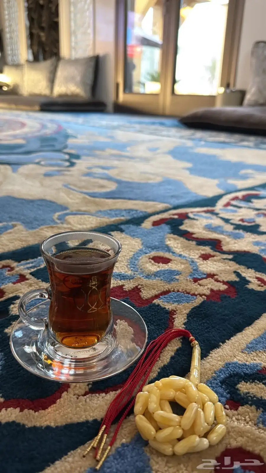 كهرمان صنوبري 2