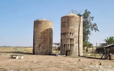 مزرعه م 100 الف صك في محافظة بقعاء 1