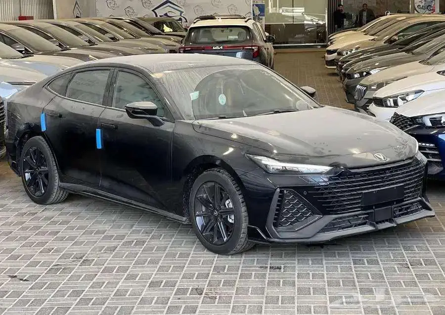 شانجان يونى فى سبورت 2025 4