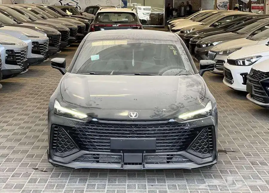 شانجان يونى فى سبورت 2025 2