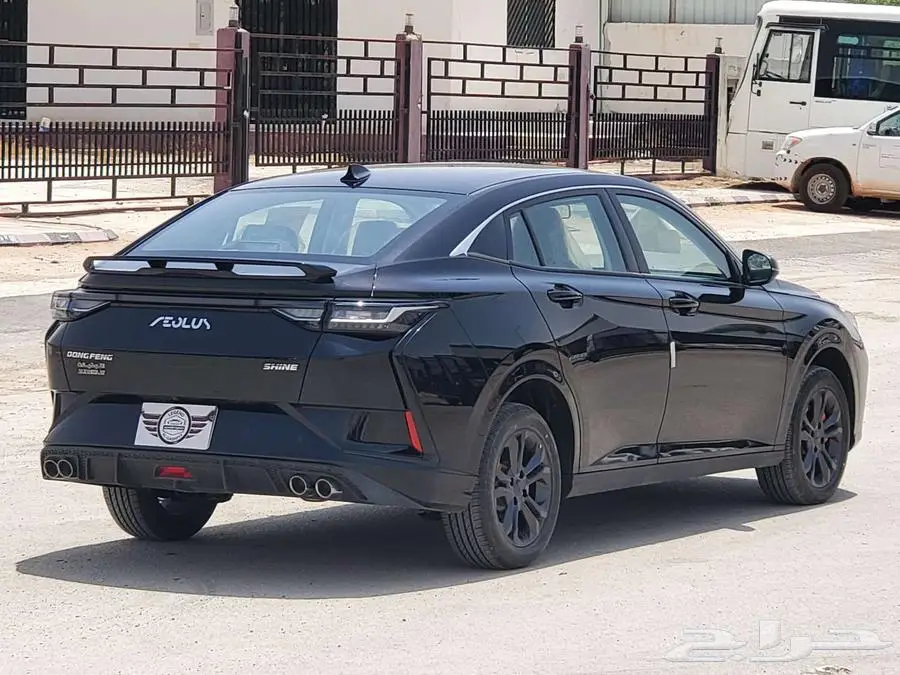دونج فينج - 2024 1