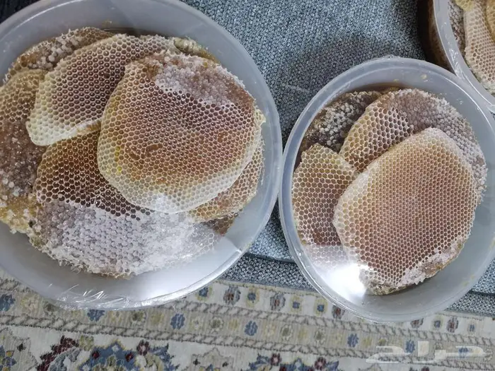 عسل شوكة جديد 1447 0