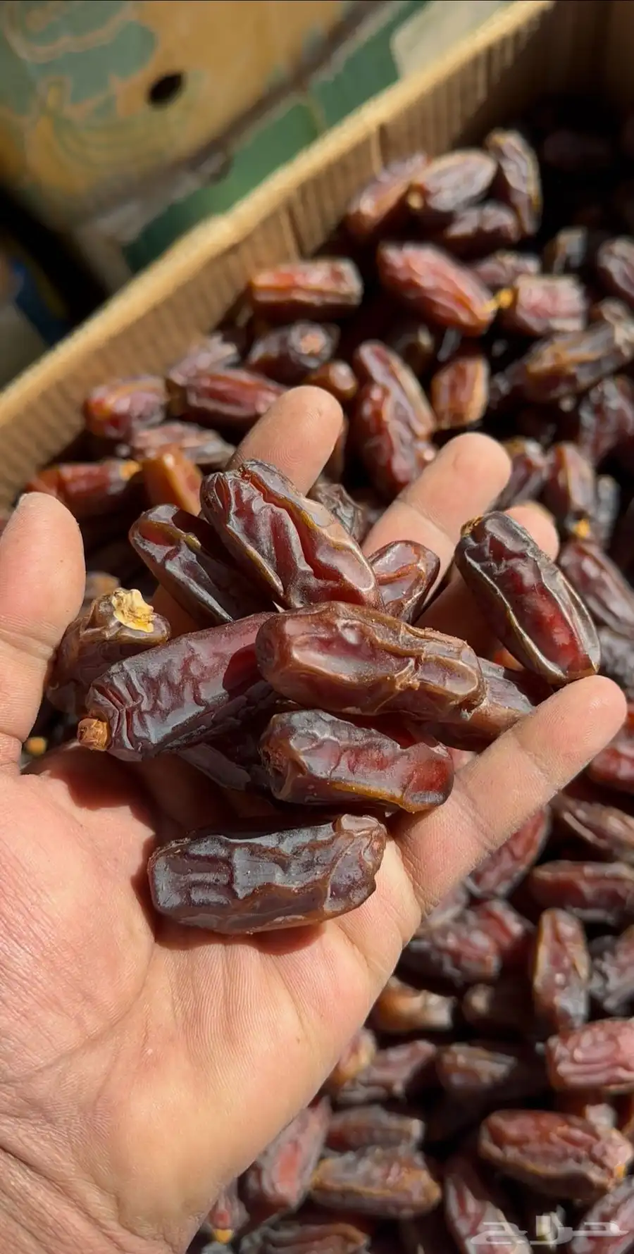 مبروم العلا 2طن 0