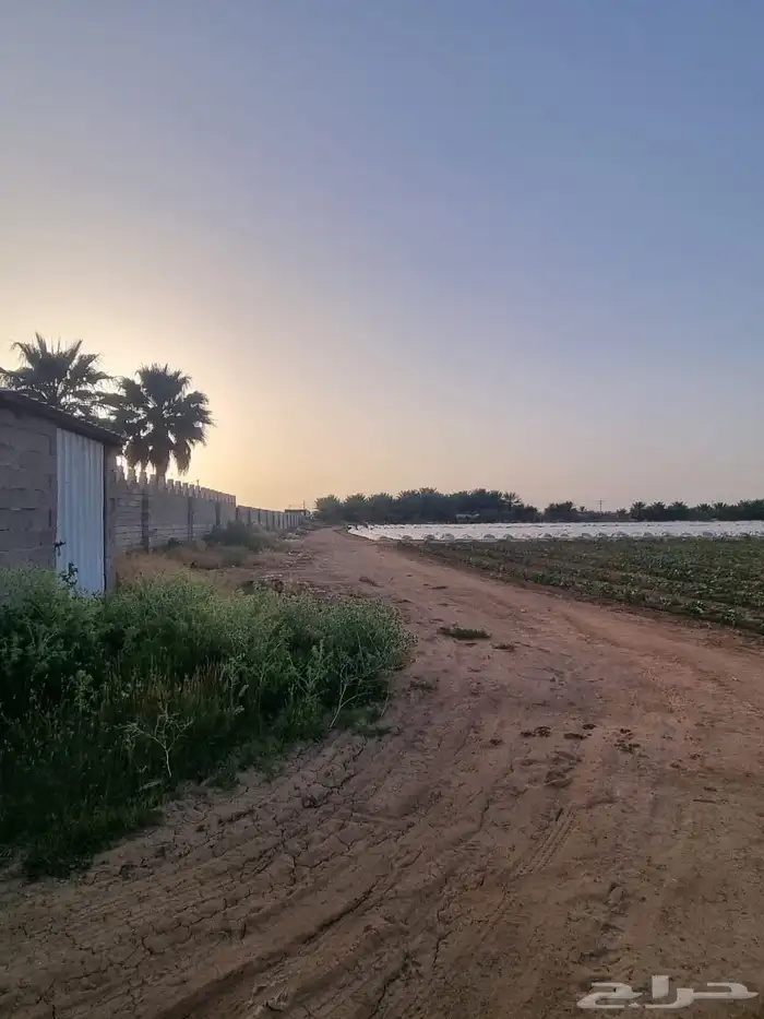 مزرعة للبيع في المليداء الشمالية 3