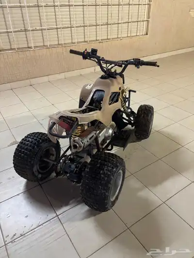 دباب للبيع 2