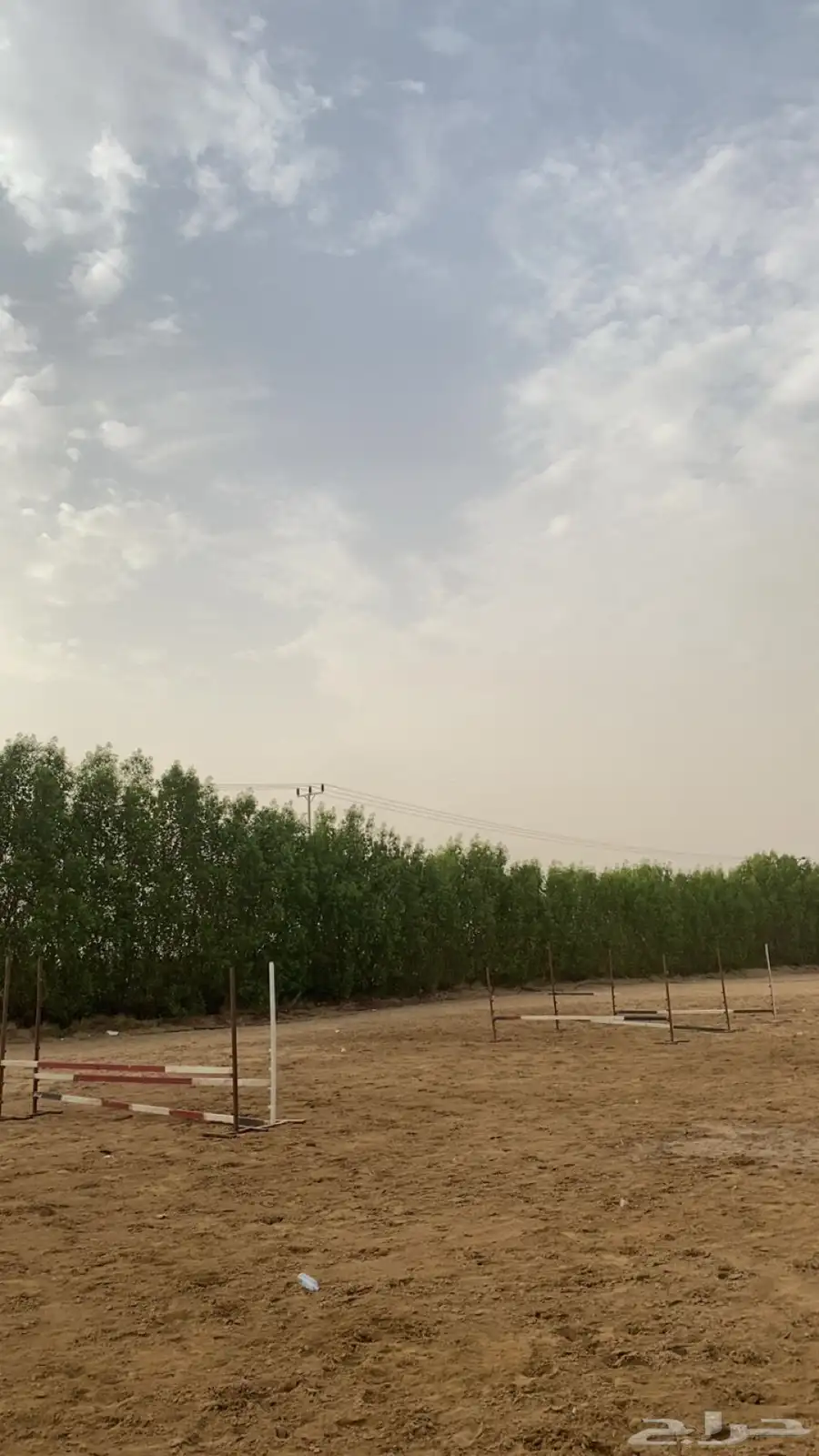 مركز فروسيه 1