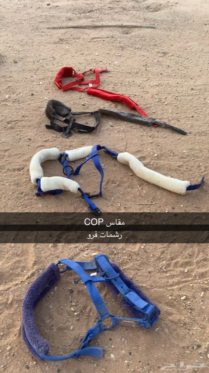 اغراض خيل 0