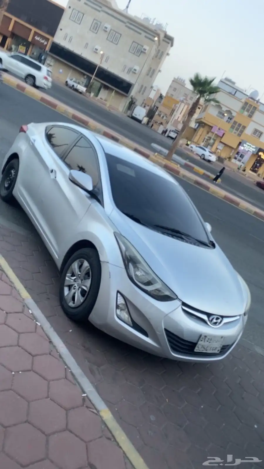 النترا 2013 3