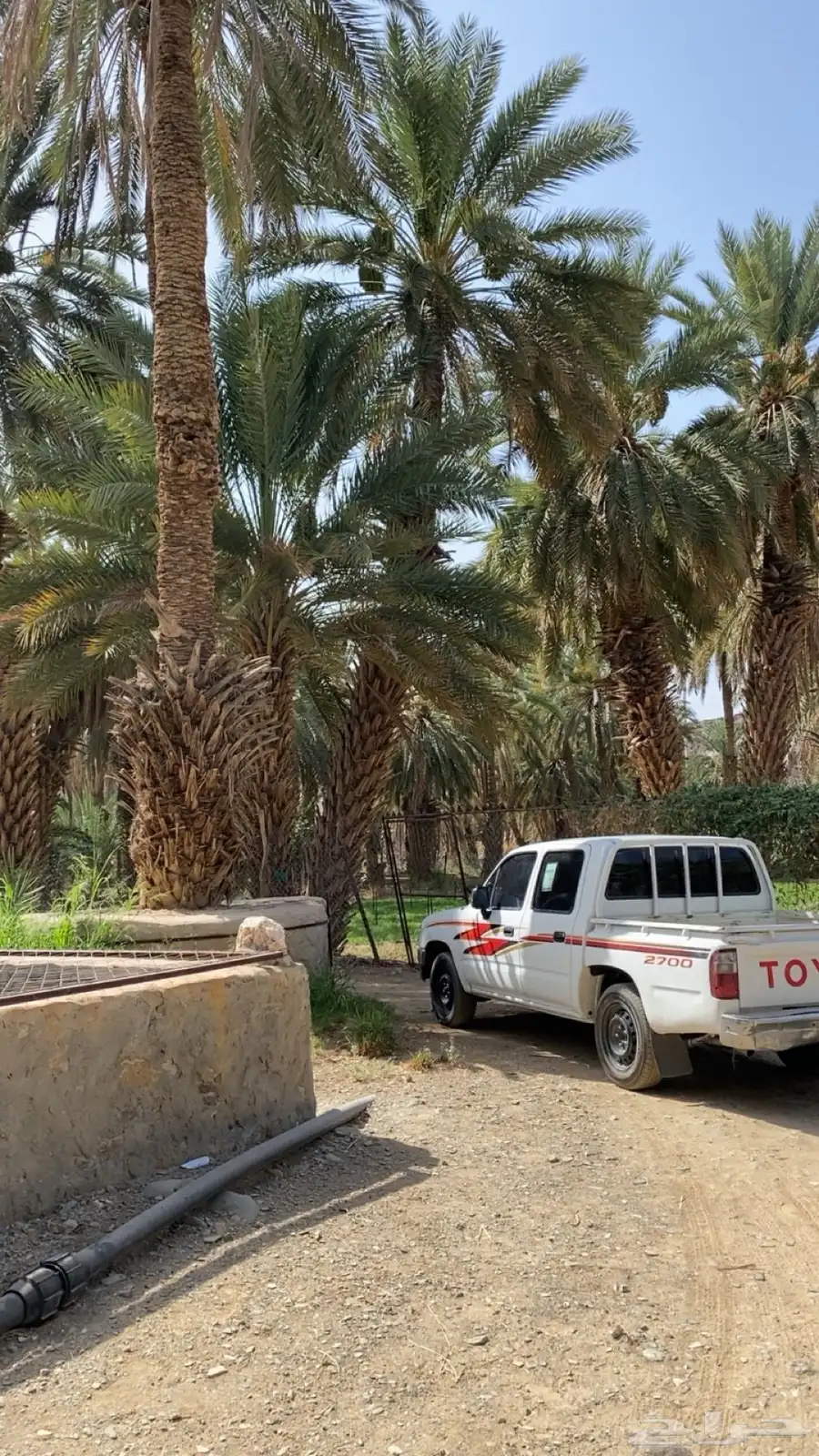 هايكلس 98 ممشى 440 2