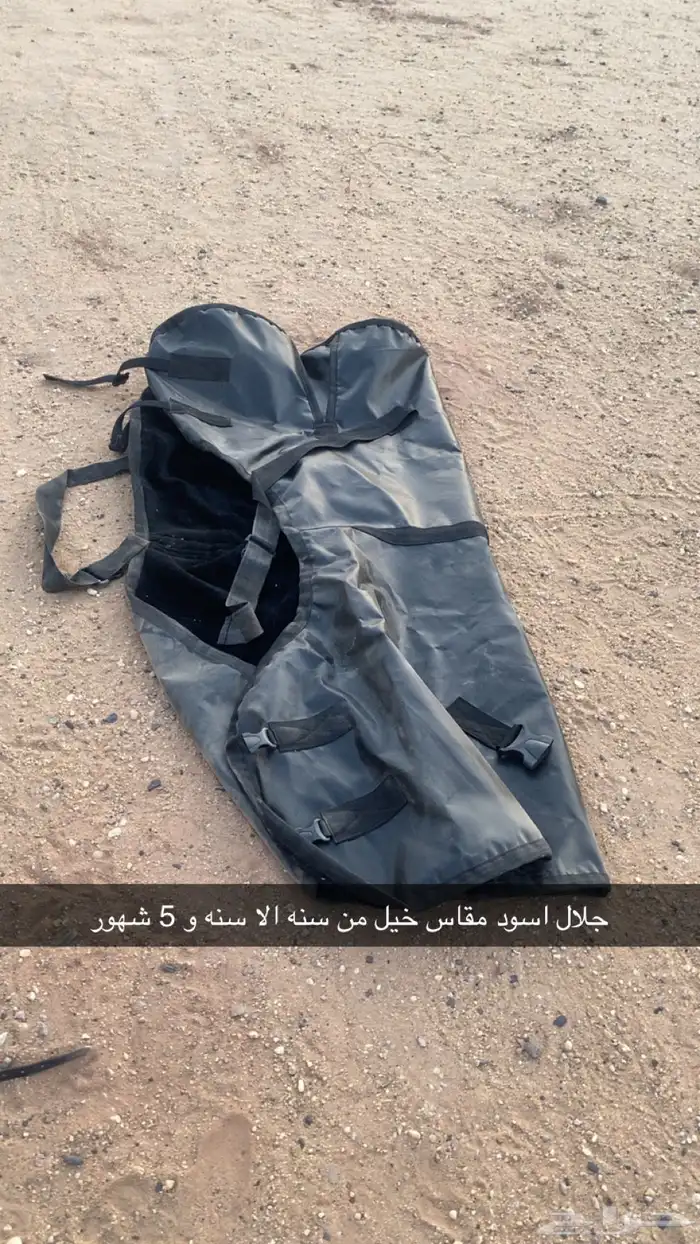 اغراض خيل 1