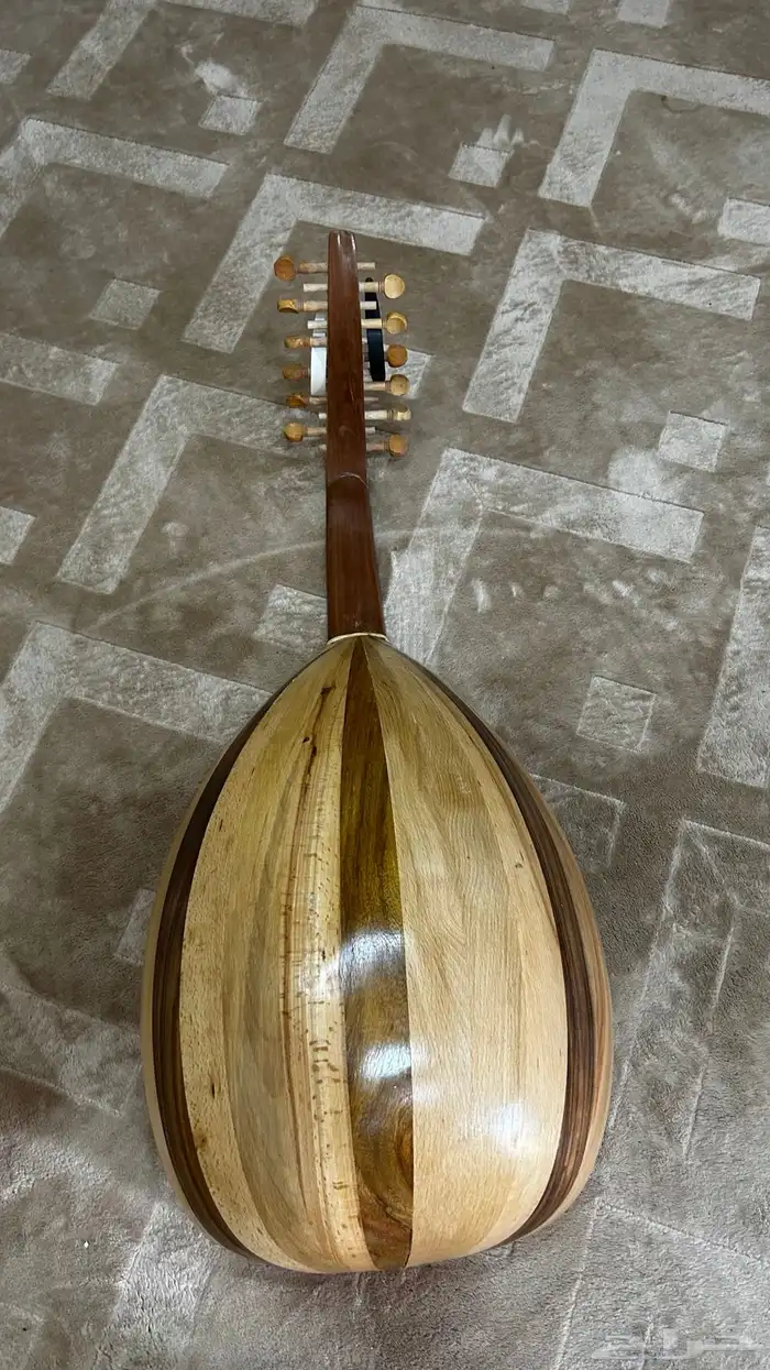 عود  مصري 0