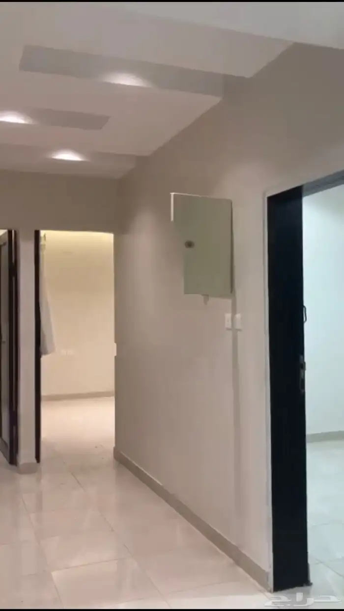 شقه في بني عمرو 2