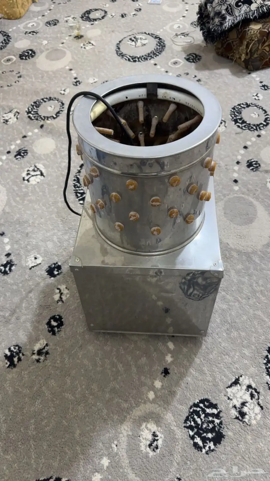 نتافطه طيور 2