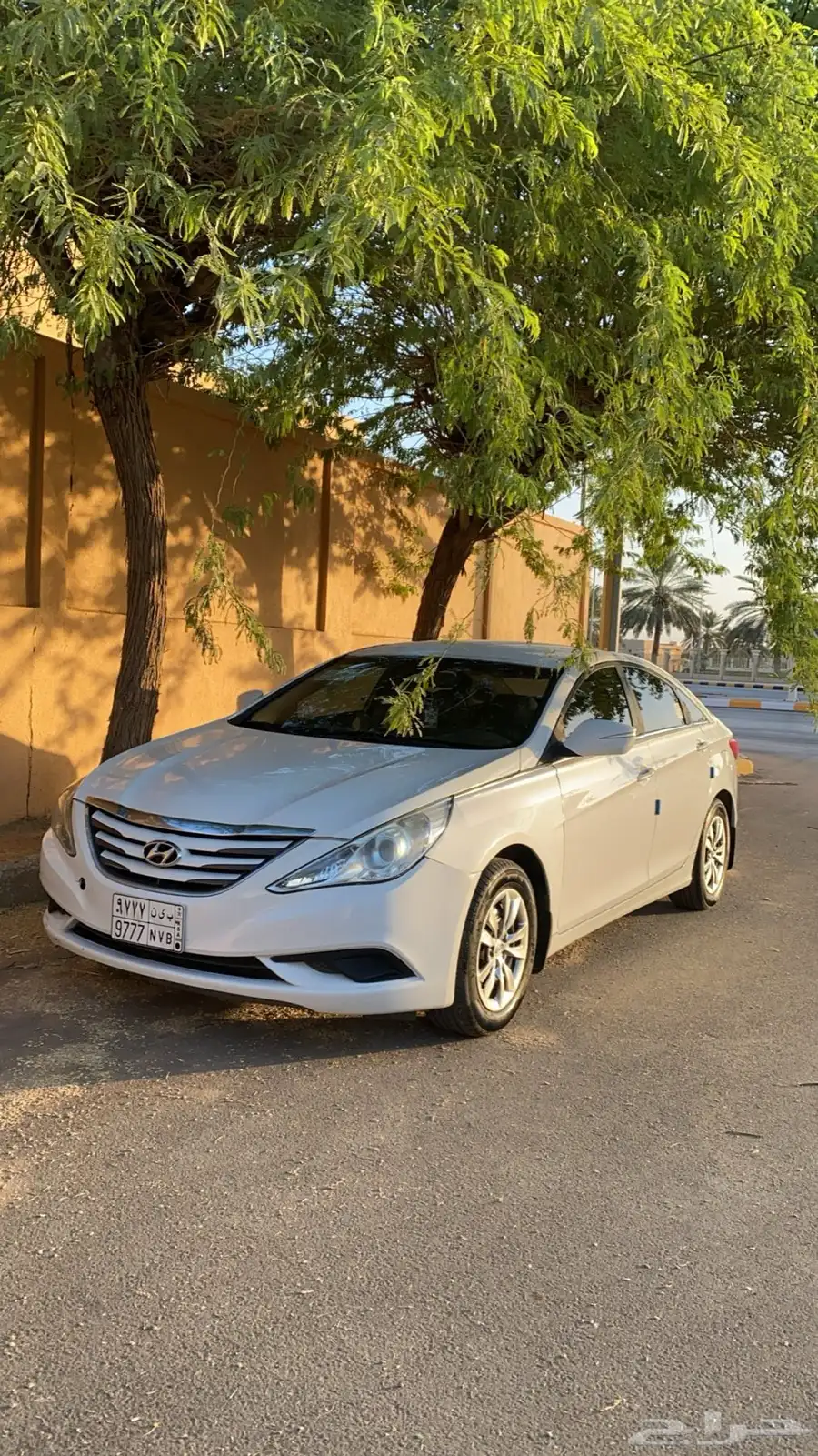 سوناتا 2013 3