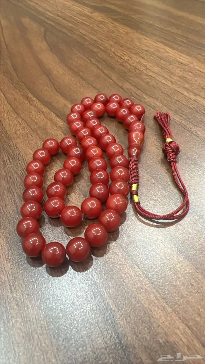 سبح فاتوران ويسر مصري 11