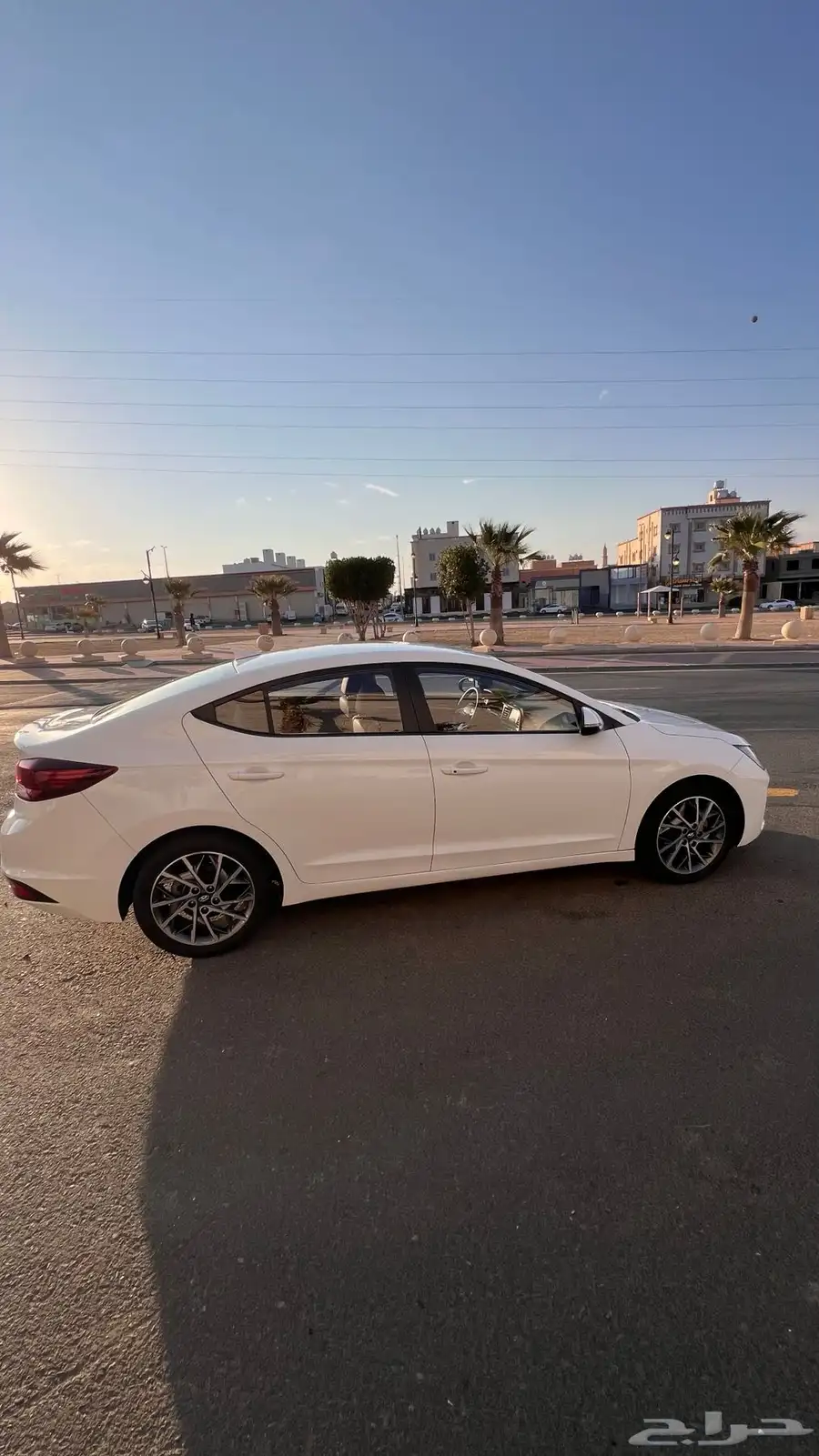 النتراء 2020 10