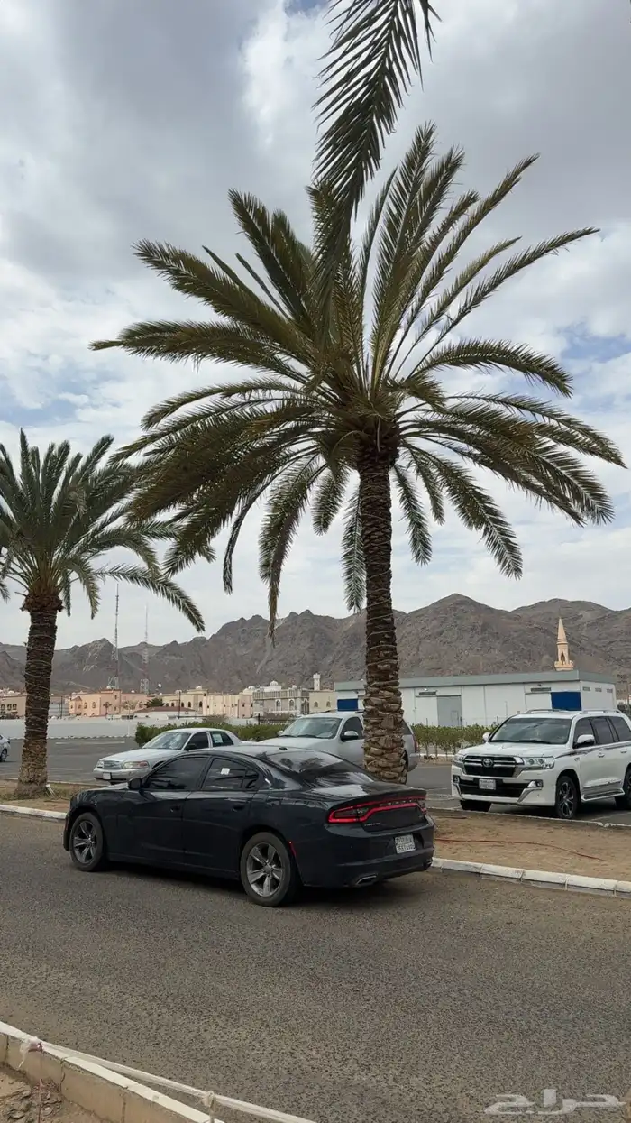 جمس سييرا 14