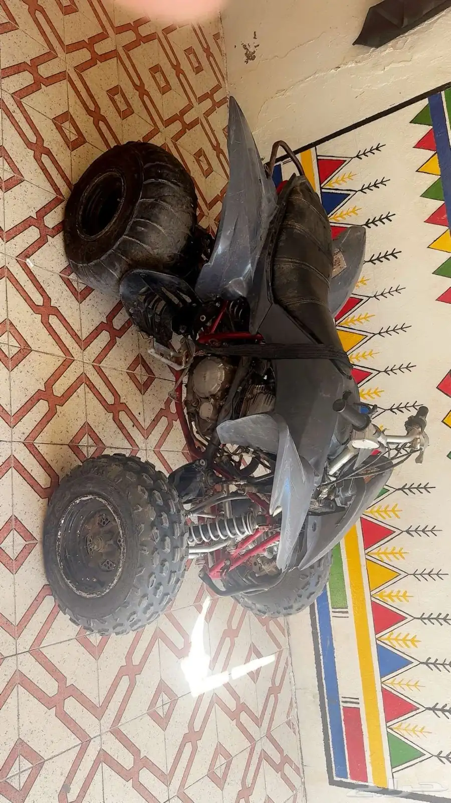 رابتر 250 1