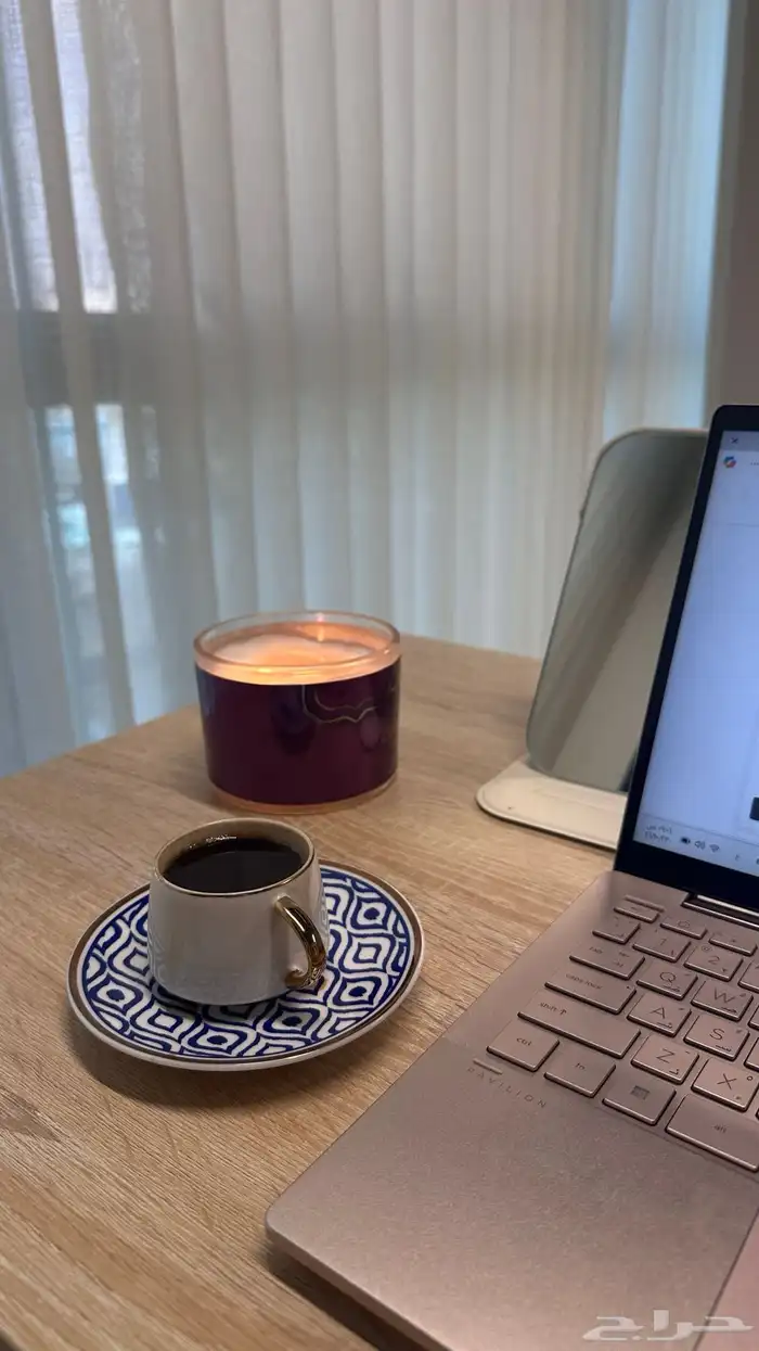 المحامية دلال العتيبي 0