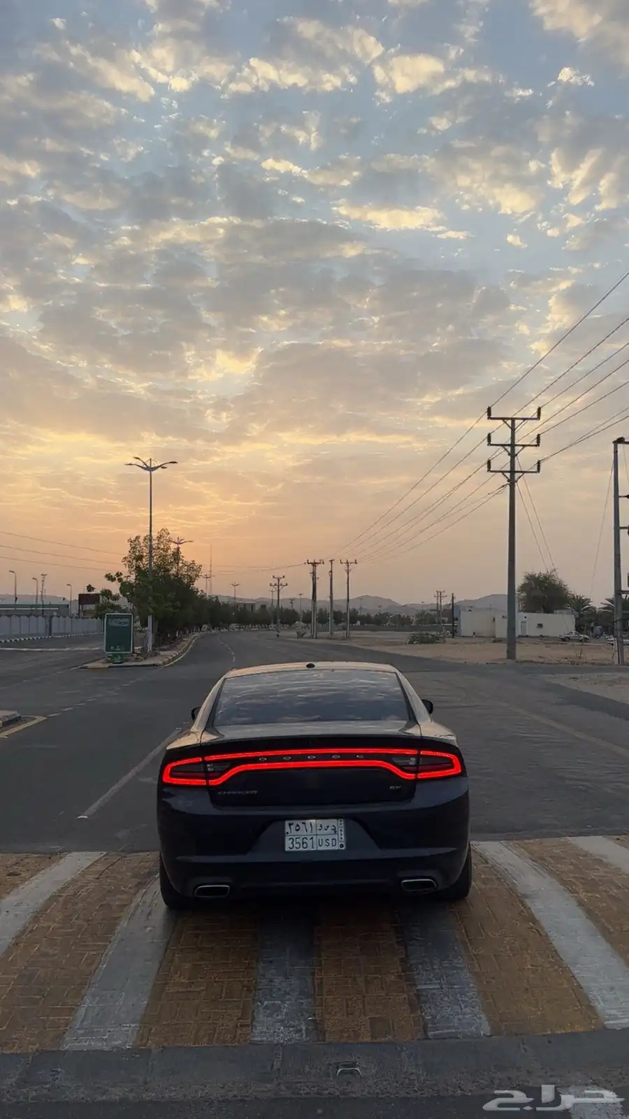 دودج 12