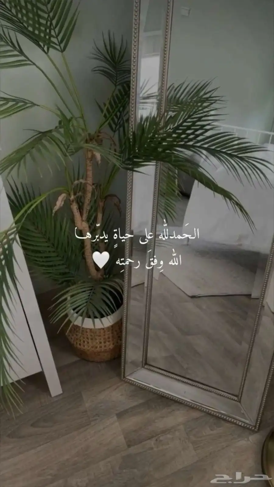 مطلوب شقه للايجار عايله صغيره 0