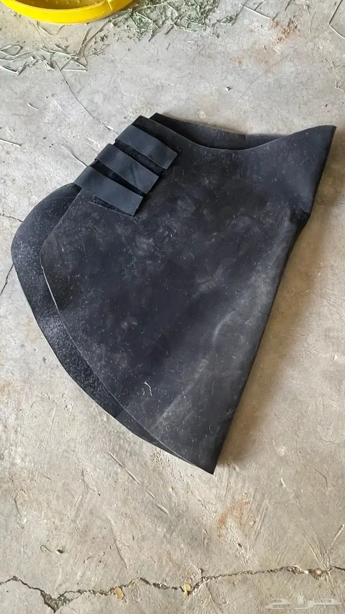 عراقة رقبه خيل جمال 0