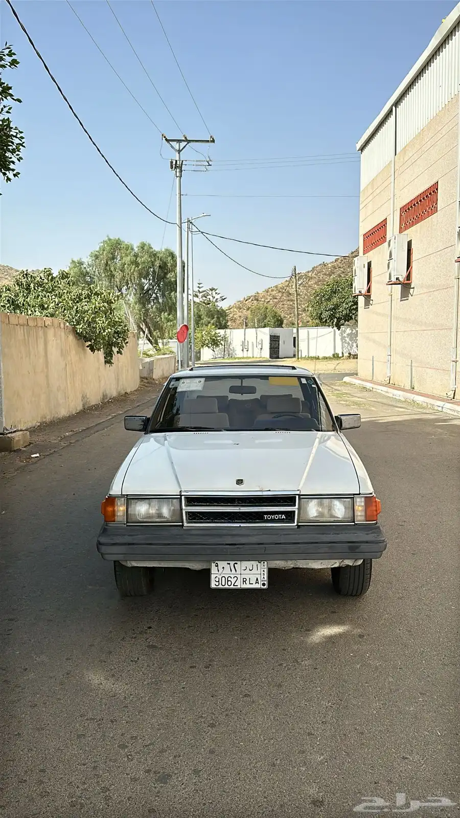 كرسيدا 1983 0