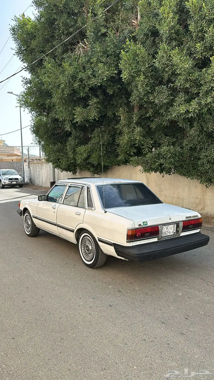 كرسيدا 1983 20