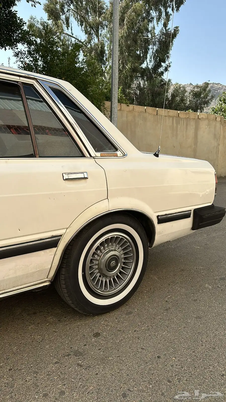 كرسيدا 1983 16