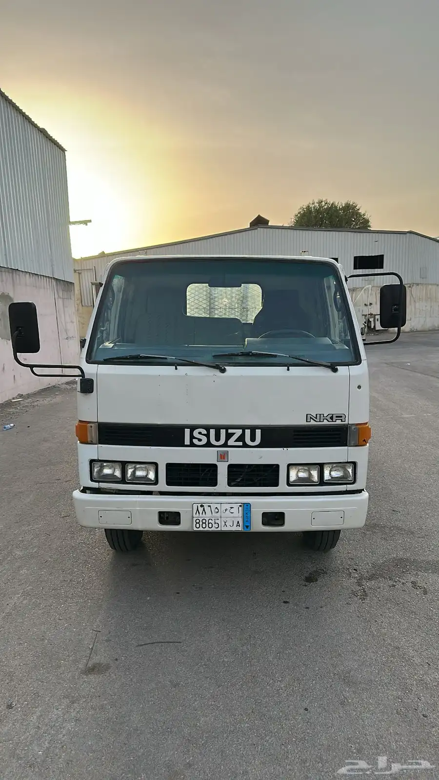 دينا اسوزو 3