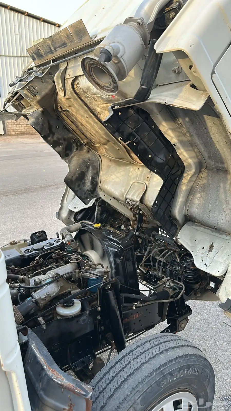 دينا اسوزو 15