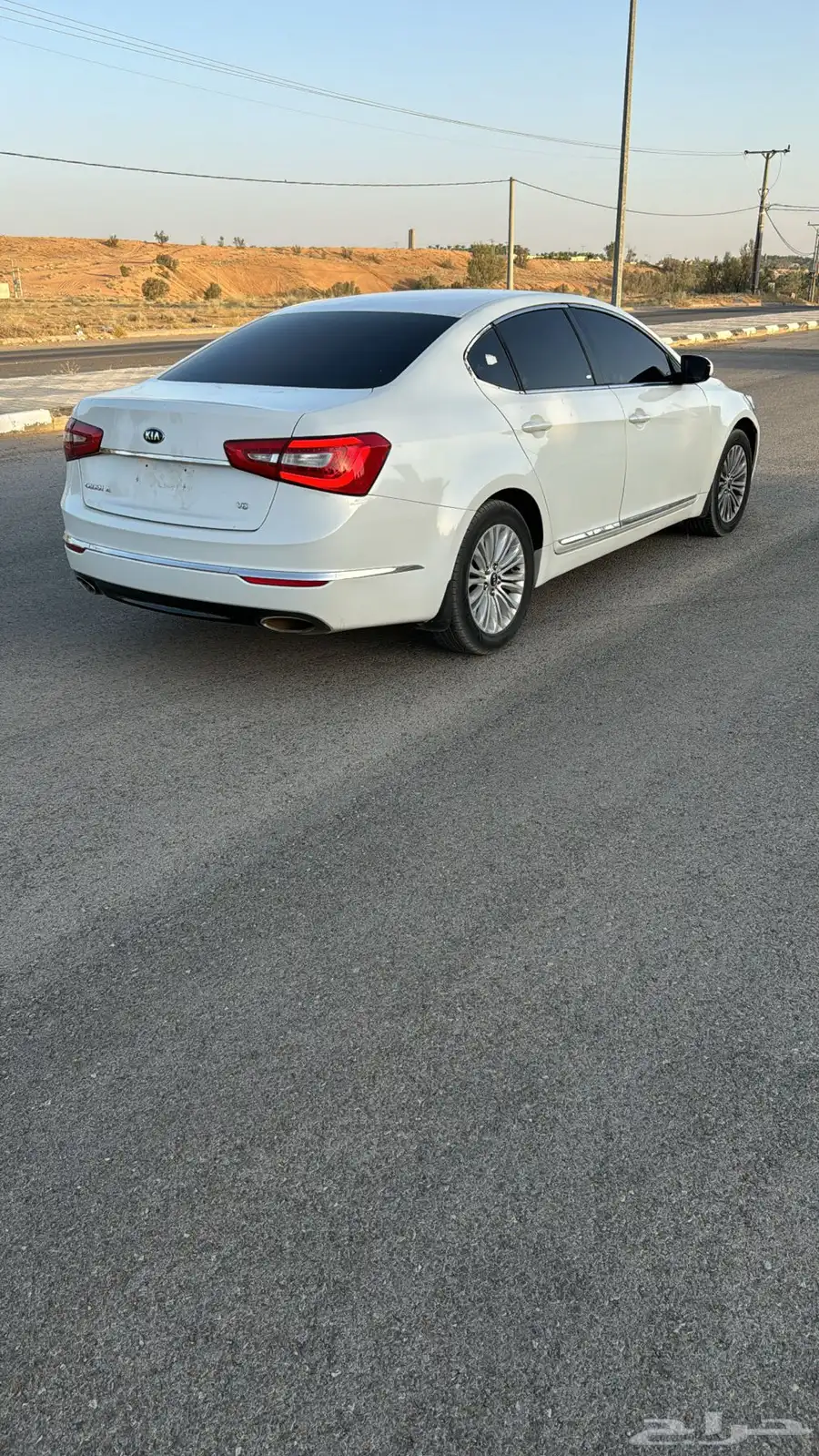 كادينزا 2014 1