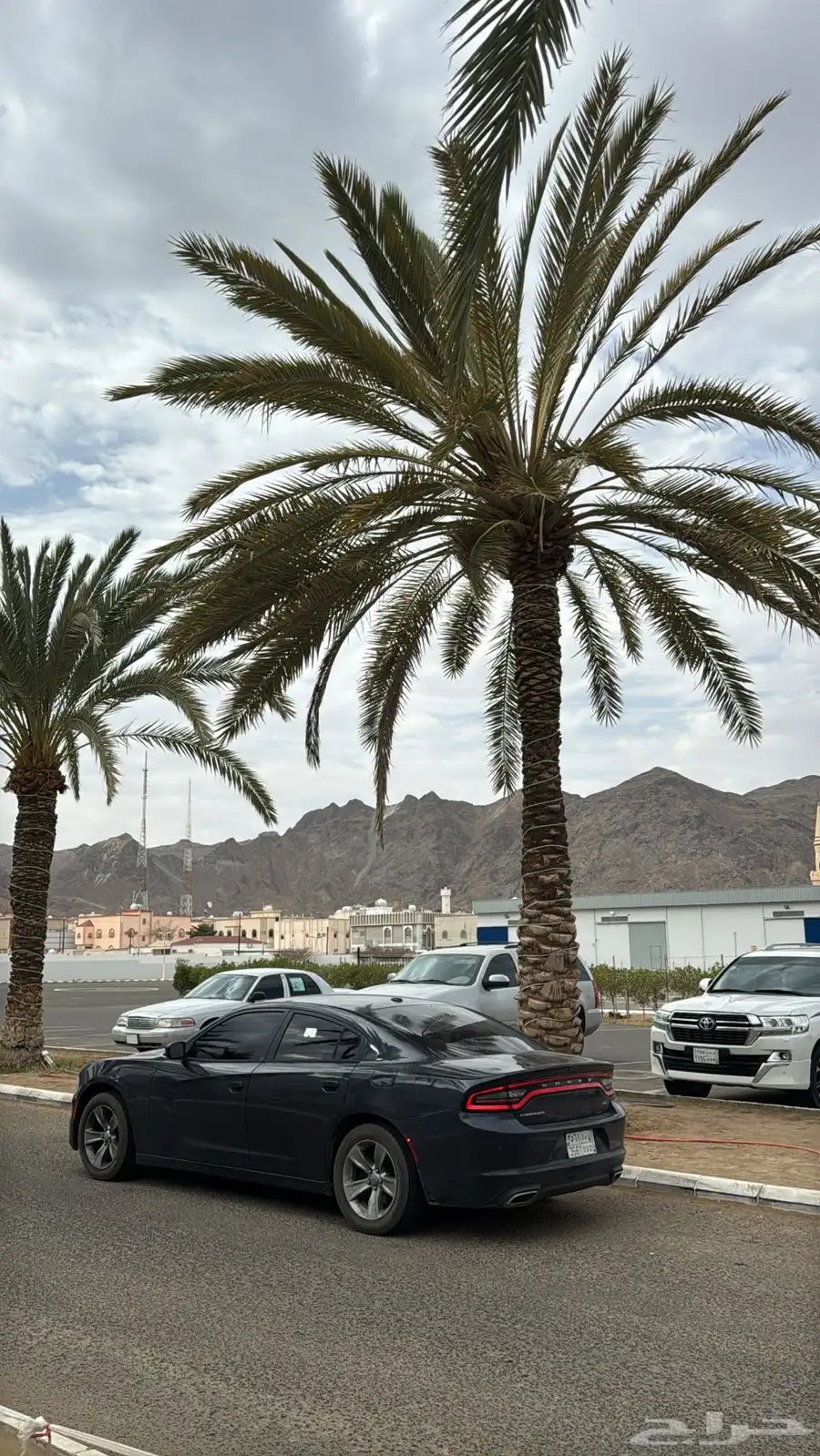 دودج 11
