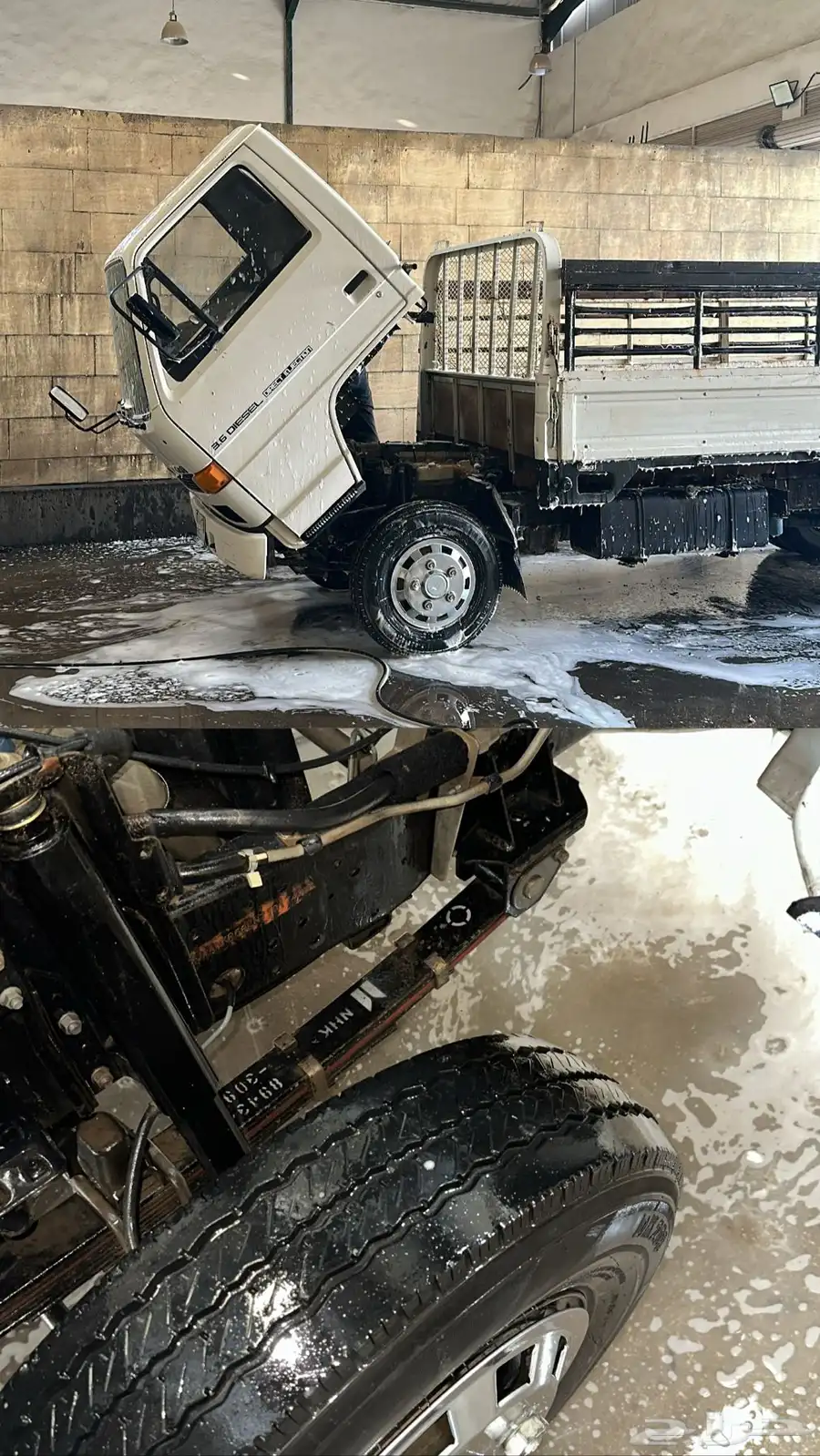 دينا اسوزو 0