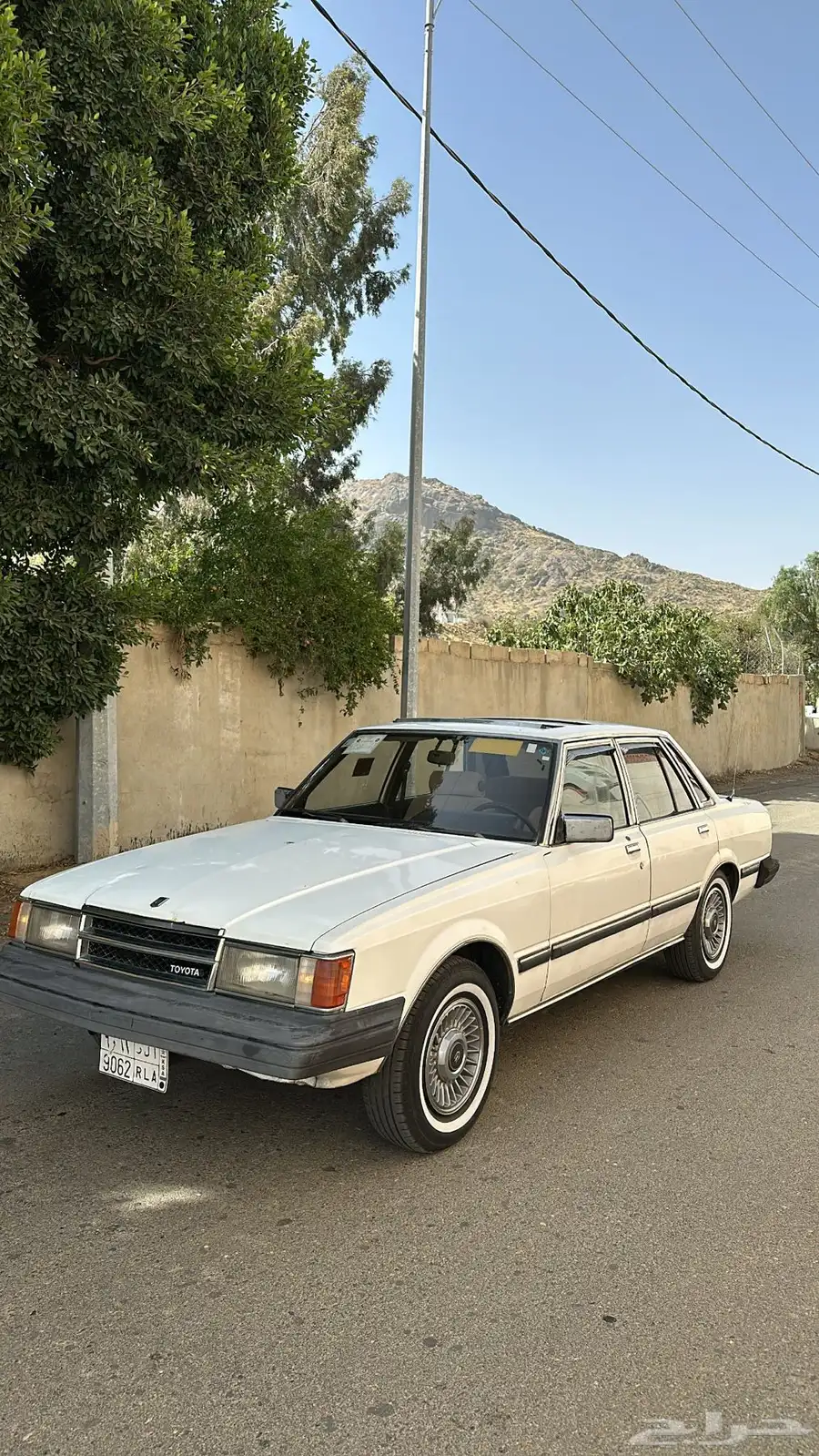 كرسيدا 1983 17