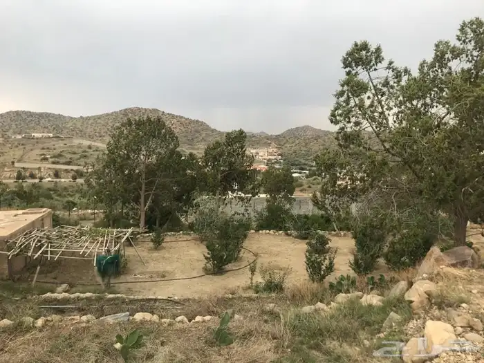 مزرعه في الشفا منطقه منتجعات 18