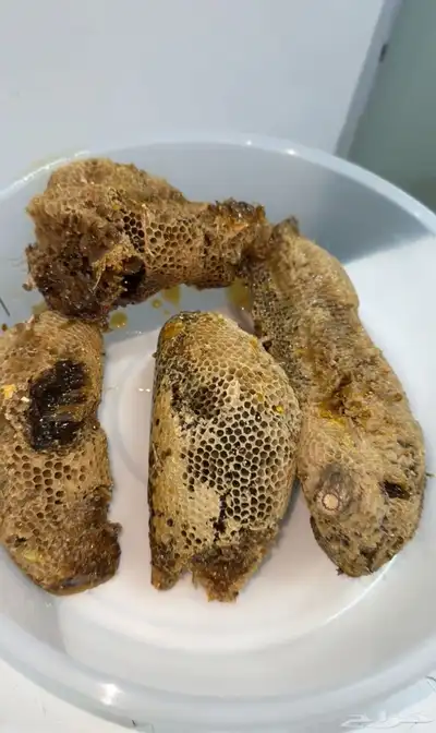عسل جبلي 4