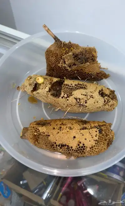 عسل جبلي 0