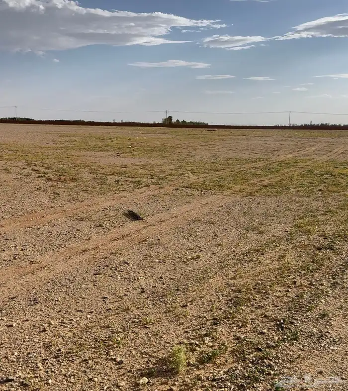 مزرعه للإيجار بالقرب من الرياض 3