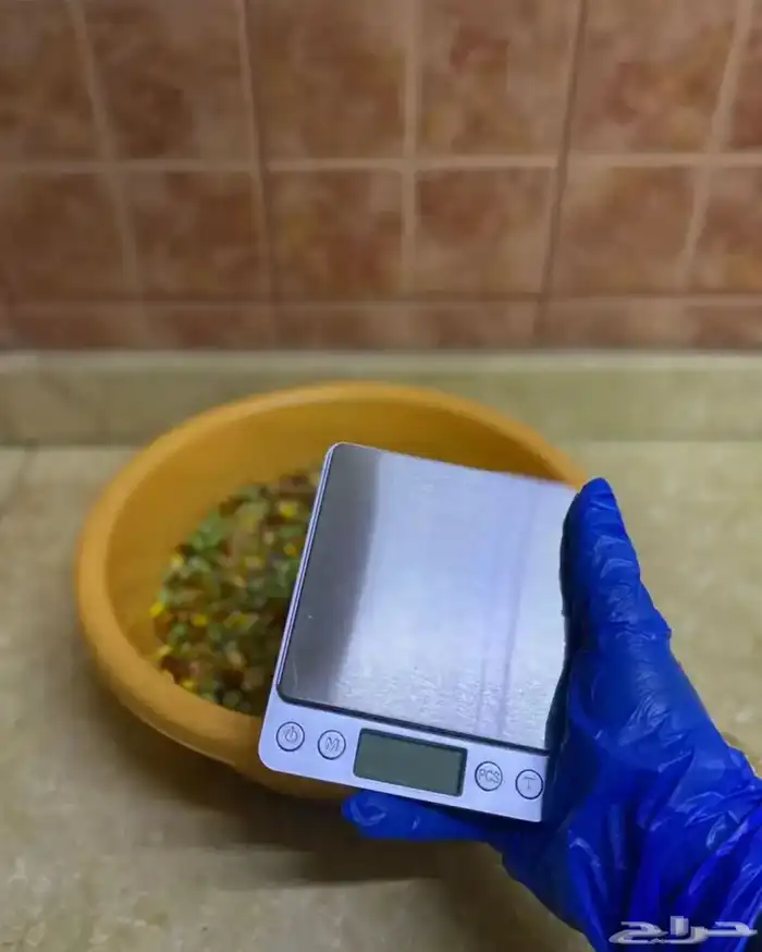 منقوع بلجيكي جاهز ومفرزن لجميع الطيور جودة عالية وسعر منافس 2