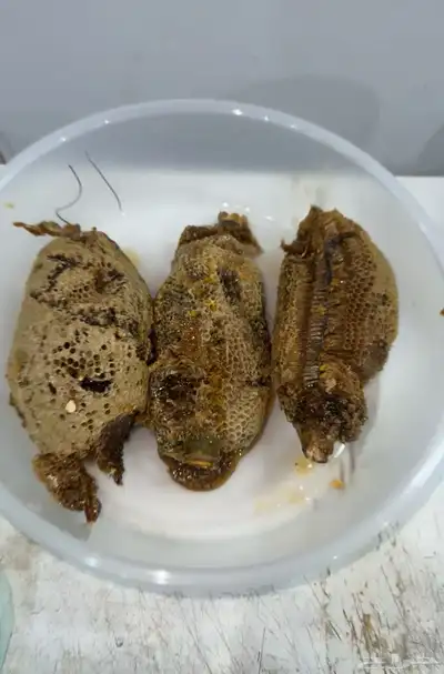 عسل جبلي 3