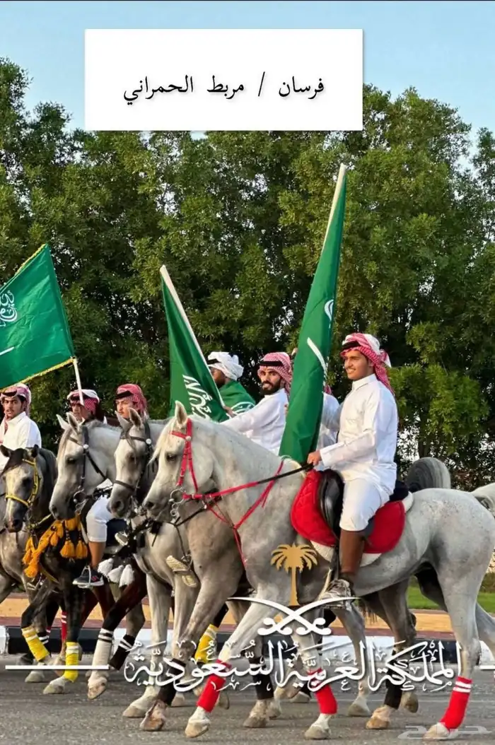 اسطبل ومربط خيل 7