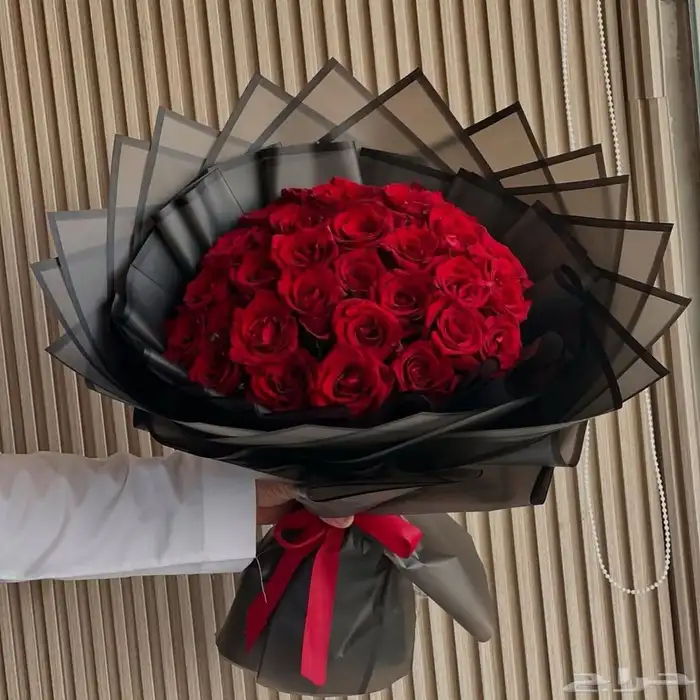 ورود وتنسيقات بمدينه جدة 9