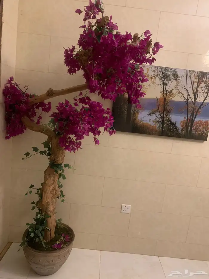 ينبع الصناعيه 0
