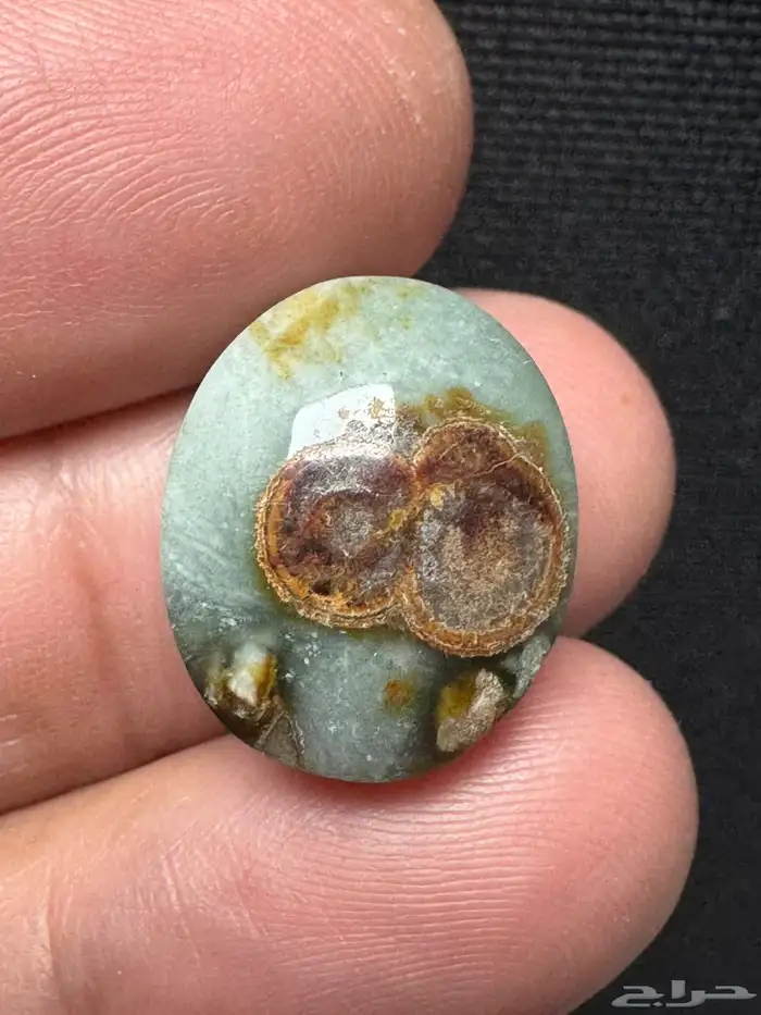 داوودي يماني اخضر نوادر 0